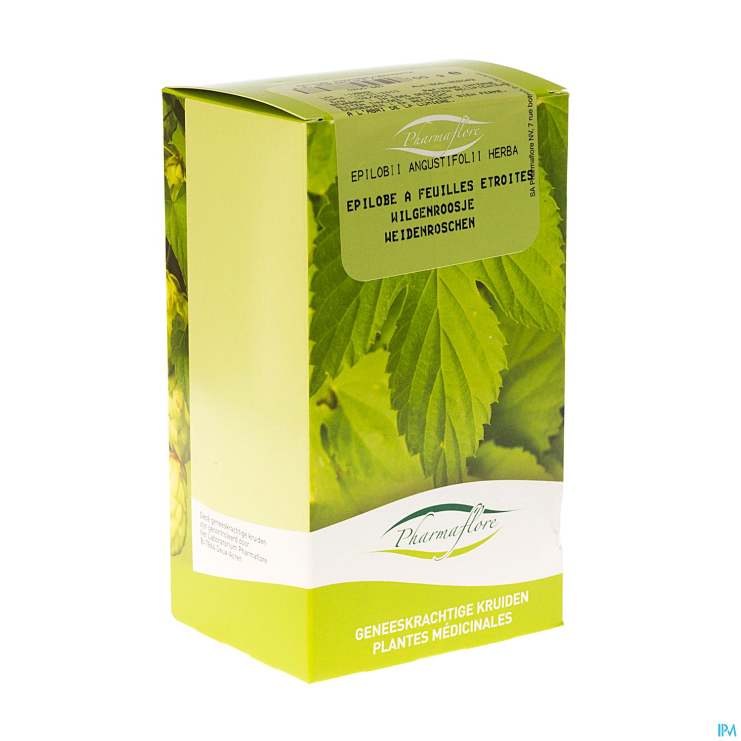 Packshot Wilgenroosje Angustifolium Doos 100g Fag