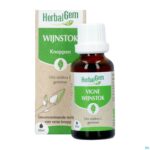 Productshot Herbalgem Wijnstok Maceraat Bio 30ml