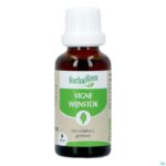 Productshot Herbalgem Wijnstok Maceraat Bio 30ml