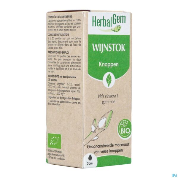 Packshot Herbalgem Wijnstok Maceraat Bio 30ml