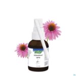 Lifestyle_image A.vogel Echinaforce Immuunspray 30ml